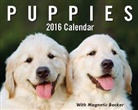Andrews Mcmeel Publishing, Andrews McMeel Publishing (COR), Andrews McMeel Publishing LLC - Puppies 2016 Calendar