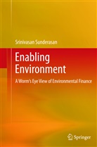 Sunderasan Srinivasan, Srinivasan Sunderasan - Enabling Environment