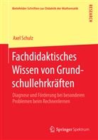 Axel Schulz - Fachdidaktisches Wissen von Grundschullehrkräften