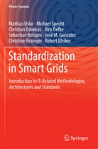 Robert Bleiker, Christian Dänekas, José M. González, Sebastian Rohjans, Christine Rosinger, Michae Specht... - Standardization in Smart Grids