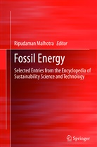 Ripudama Malhotra, Ripudaman Malhotra - Fossil Energy
