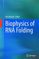 Ric Russell, Rick Russell - Biophysics of RNA Folding