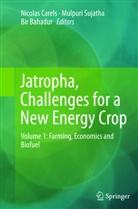 Bir Bahadur, Nicolas Carels, Mulpur Sujatha, Mulpuri Sujatha - Jatropha, Challenges for a New Energy Crop