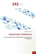 Benjamin Louvet, Louvet-b - Automates cellulaires