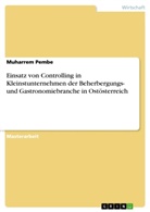 Muharrem Pembe - Einsatz von Controlling in Kleinstunternehmen der Beherbergungs- und Gastronomiebranche in Ostösterreich