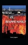 Gerry Agnew - What Is Happening?
