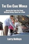 Larry Dehays - The Car Care World