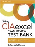 S. Rao Vallabhaneni - Wiley Ciaexcel Exam Review Test Bank