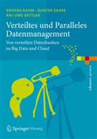 Erhar Rahm, Erhard Rahm, Gunte Saake, Gunter Saake, Kai-Uwe Sattler - Verteiltes und Paralleles Datenmanagement