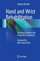 Grégory Mesplié - Hand and Wrist Rehabilitation