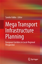 Sandr Fabbro, Sandro Fabbro - Mega Transport Infrastructure Planning