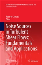 Robert Camussi, Roberto Camussi - Noise Sources in Turbulent Shear Flows: Fundamentals and Applications