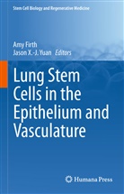 Am Firth, Amy Firth, X -J Yuan, X -J Yuan, Jason Yuan, Jason X. -J. Yuan... - Lung Stem Cells in the Epithelium and Vasculature