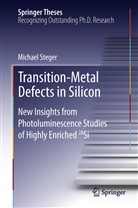 Michael Steger - Transition-Metal Defects in Silicon