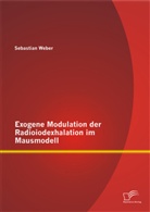 Sebastian Weber - Exogene Modulation der Radioiodexhalation im Mausmodell