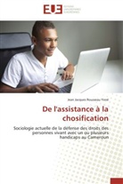 Jean J. Rousseau Yene, Jean Jacques Rousseau YENE, Yene-J - De l assistance a la chosification