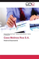 Carlos Andre Bernal, Carlos Andres Bernal, Sandov, Carlos A. Sandoval, Samuel Eduard Tovar, Samuel Eduardo Tovar - Caso Molinos Roa S.A.