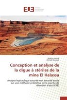 Ahmed Boussad, Ibrahi Harrak, Ibrahim Harrak - Conception et analyse de la digue
