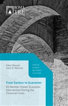 Fabi Bassan, Fabio Bassan, Fabio Mottura Bassan, Carlo D Mottura, Carlo D. Mottura - From Saviour to Guarantor