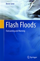 Kevin Sene - Flash Floods
