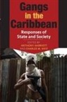 Anthony Harriott, Charles M Katz, Charles M. Katz - Gangs in the Caribbean