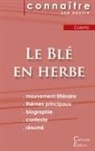 Colette - Fiche de lecture Le Blé en herbe de Colette (Analyse littéraire de référence et résumé complet)