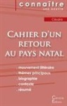 Aimé Césaire - Fiche de lecture Cahier d'un retour au pays natal de Césaire (Analyse littéraire de référence et résumé complet)