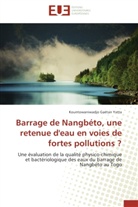 Kountowaniwadjo Gaëtan Yatta, Yatta-k - Barrage de nangbeto, une retenue
