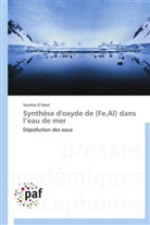 Soumia El Basri, Soumia EL BASRI, El basri-s - Synthese d oxyde de fe,al dans l