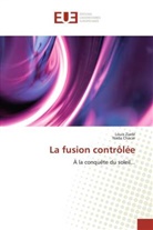 Nada Chacar, Loui Ziadé, Louis Ziadé - La fusion controlee