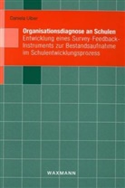 Daniela Ulber - Organisationsdiagnose an Schulen