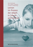 Peter Dehnbostel, Hans-Jürgen Lindemann, Christoph Ludwig - Lernen im Prozess der Arbeit in Schule und Betrieb