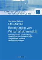 Kari-Maria Karliczek - Strukturelle Bedingungen von Wirtschaftskriminalität