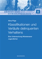 Alina Pöge - Klassifikationen und Verläufe delinquenten Verhaltens