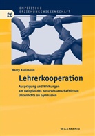 Harry Kullmann - Lehrerkooperation