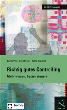 Katrin Hummel, Gerd Peters, Dieter Pfaff - Richtig gutes Controlling