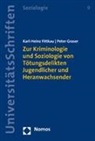 Karl-Hein Fittkau, Karl-Heinz Fittkau, Peter Graser - Zur Kriminologie und Soziologie von Tötungsdelikten Jugendlicher und Heranwachsender