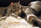 In ein warmes Nest kommt man immer wieder gerne zurück!