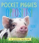 Richard Austin, Richard (PHT) Austin, Richard Austin - Pocket Piggies Opposites!
