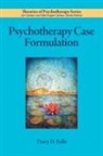 American Psychological Association, Tracy D Eells, Tracy D. Eells - Psychotherapy Case Formulation