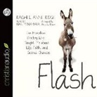 Nan Mcnamara, Rachel Anne Ridge - Flash: The Homeless Donkey Who Taught Me about Life, Faith, and Second Chances (Audio book)