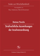 Dietmar Penzlin - Strafrechtliche Auswirkungen der Insolvenzordnung