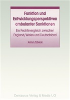 Anna Zabeck, Anna Zabek - Funktion und Entwicklungsperspektiven ambulanter Sanktionen