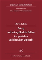 Martin Ludwig - Betrug und betrugsähnliche Delikte im spanischen und deutschen Strafrecht