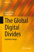 James Pick, James B Pick, James B. Pick, Avijit Sarkar - The Global Digital Divides