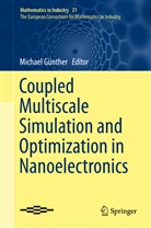 Michae Günther, Michael Günther - Coupled Multiscale Simulation and Optimization in Nanoelectronics