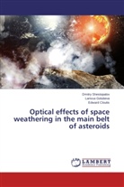 Edward Cloutis, Larissa Golubeva, Dmitry Shestopalov - Optical effects of space weathering in the main belt of asteroids