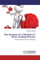 Joanna E. ¿Aszczyk, Joanna E. aszczyk, Joanna Laszczyk, Joanna E Laszczyk, Joanna E. Laszczyk, Andrzej J Nowak... - The Analysis of a Newborn's Brain Cooling Process
