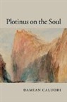 Damian Caluori, Damian (Trinity University Caluori, Caluori Damian - Plotinus on the Soul