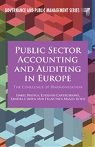 I. Brusca, Isabel Brusca, Isabel Caperchione Brusca, E. Caperchione, Eugenio Caperchione, S. Cohen... - Public Sector Accounting and Auditing in Europe